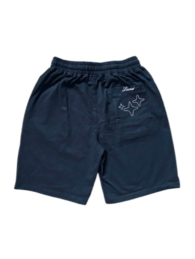Core Lucid Shorts